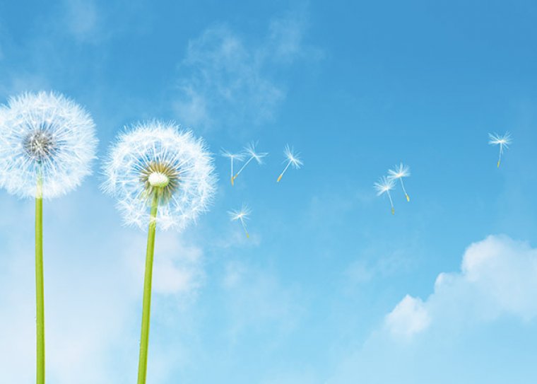 Promo clean air check up climate system hygienization  mazzarolo workshops fonte treviso