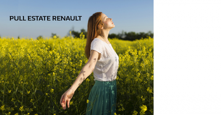 Pull estate_Renault_Dacia_discounts_front brakes_check up_free air_disinfection_ordinary maintenance_Mazzarolo_workshop_Fonte_Treviso