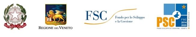 LOGO FSE